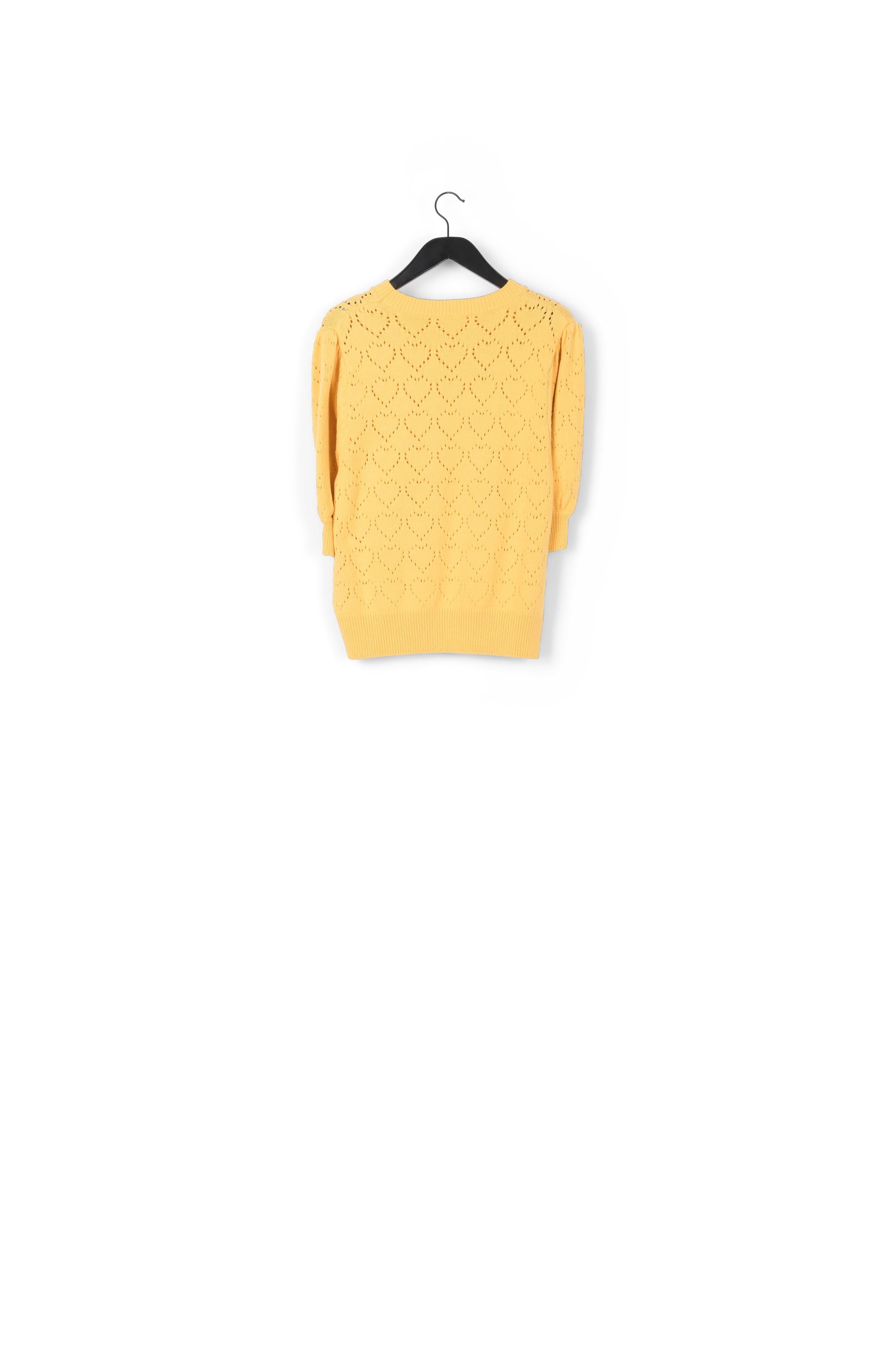 Diana Pullover Fabienne chapot - second hand