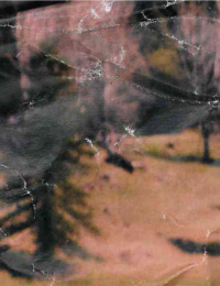  Fabienne chapot - second hand