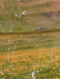  Fabienne chapot - second hand